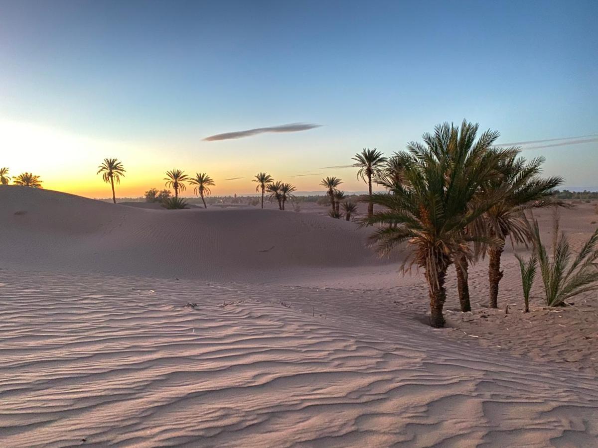 Camp Auberge Sahara Marokko M'Hamid Kültér fotó