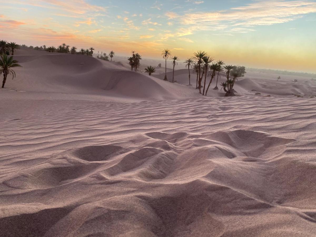 Camp Auberge Sahara Marokko M'Hamid Kültér fotó